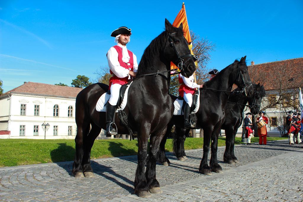 Hotel Medieval Alba Iulia Buitenkant foto